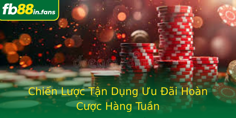 Chiến Lược Tận Dụng Ưu Đãi Hoàn Cược Hàng Tuần