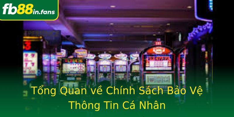 Tổng Quan về Chính Sách Bảo Vệ Thông Tin Cá Nhân